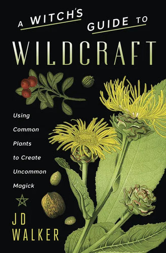 A Witch's Guide to Wildcraft: Using Common Plants to Create Uncommon Magick - Paperback