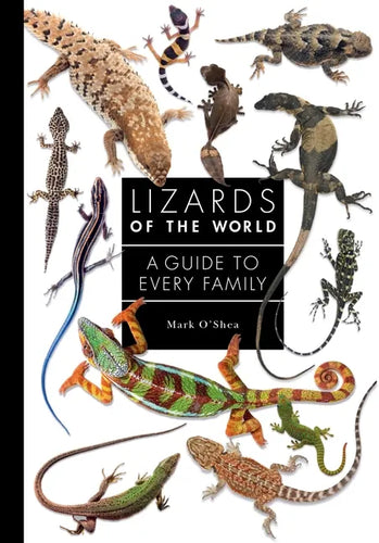 Lizards of the World: A Guide to Every Family - Hardcover