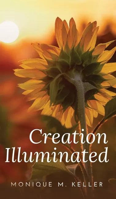 Creation Illuminated - Hardcover