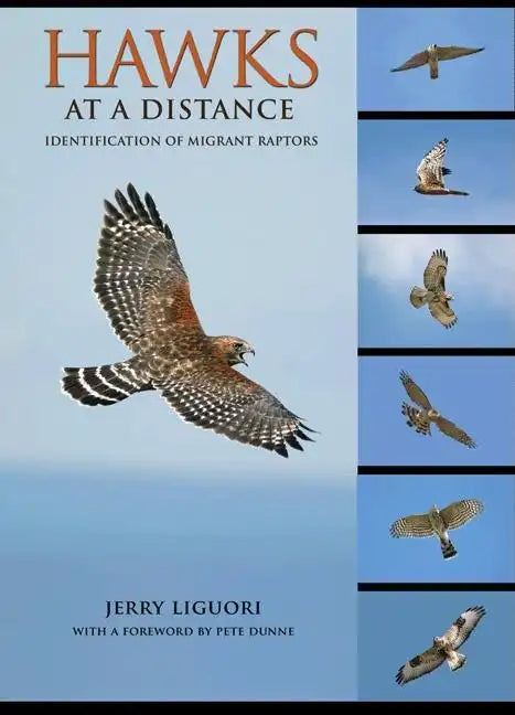 Hawks at a Distance: Identification of Migrant Raptors - Paperback