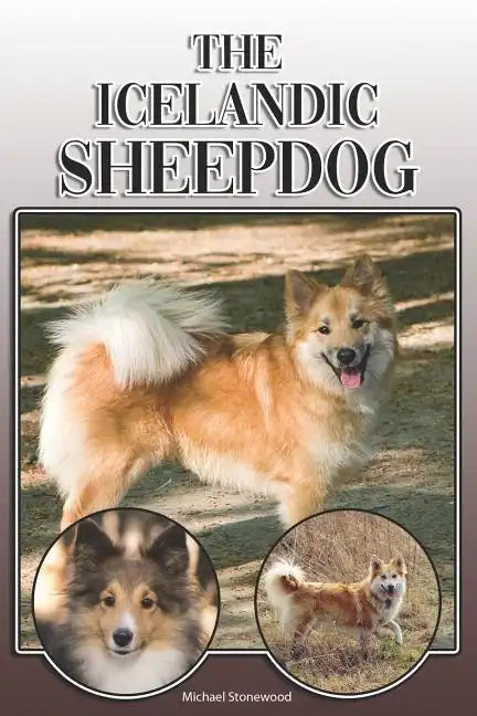 The Icelandic Sheepdog: A Complete and Comprehensive Owners Guide To: Buying, Owning, Health, Grooming, Training, Obedience, Understanding and - Paperback