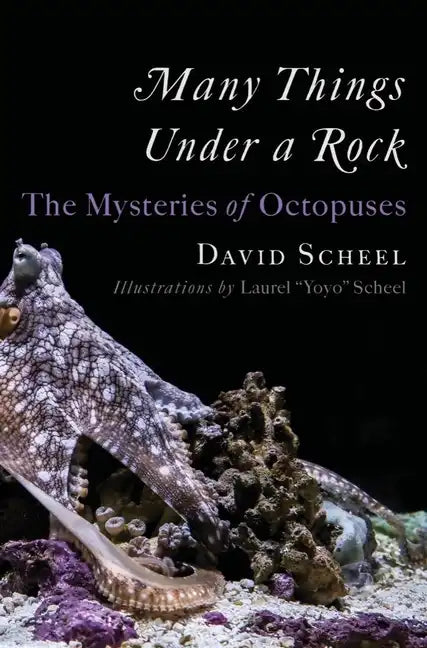 Many Things Under a Rock: The Mysteries of Octopuses - Hardcover