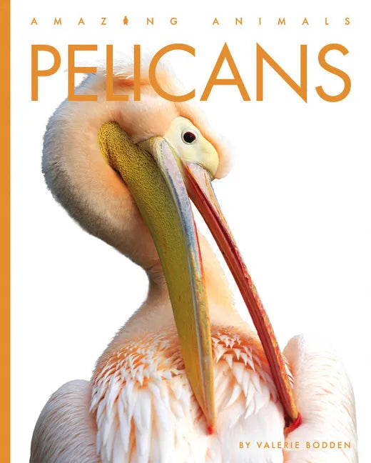 Pelicans - Library Binding