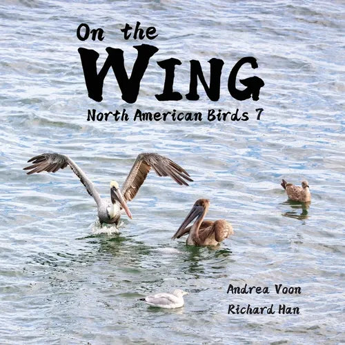 On the Wing - North American Birds 7 - Paperback