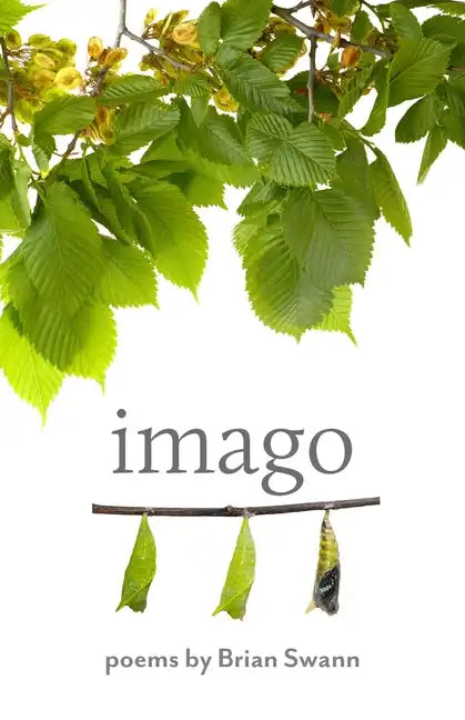 Imago - Paperback
