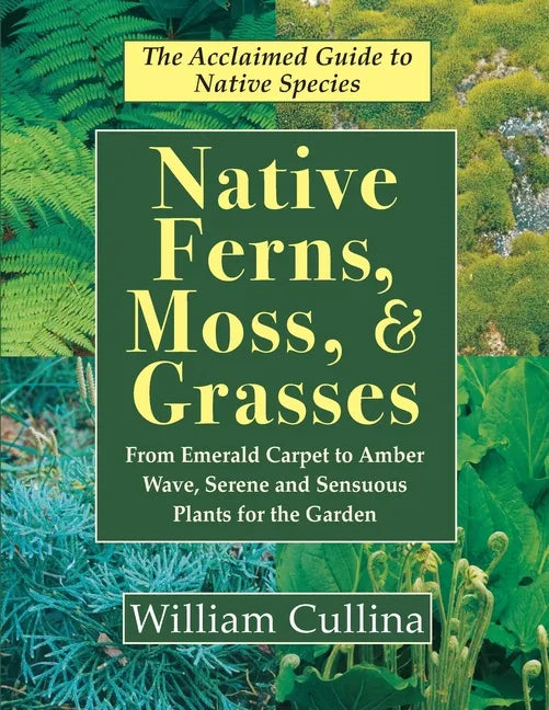 Native Ferns, Moss, and Grasses - Paperback