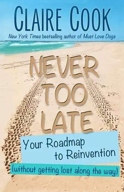 Never Too Late: Your Roadmap to Reinvention (without getting lost along the way) - Paperback