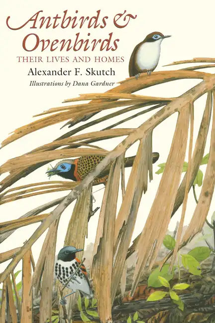 Antbirds and Ovenbirds: Their Lives and Homes - Paperback