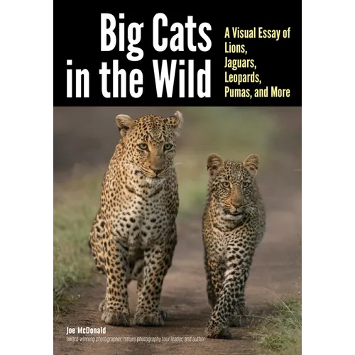 Big Cats in the Wild: A Visual Essay of Lions, Jaguars, Leopards, Pumas, and More - Paperback