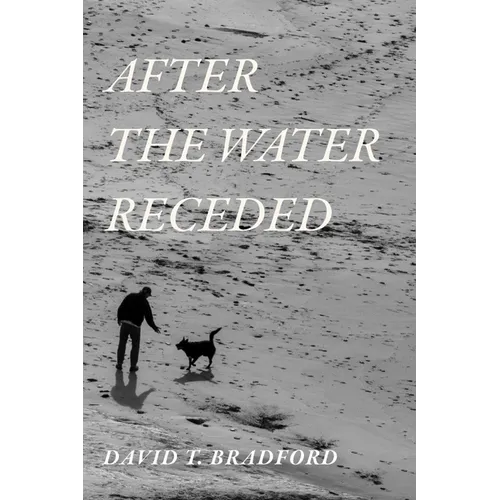 After the Water Receded - Paperback