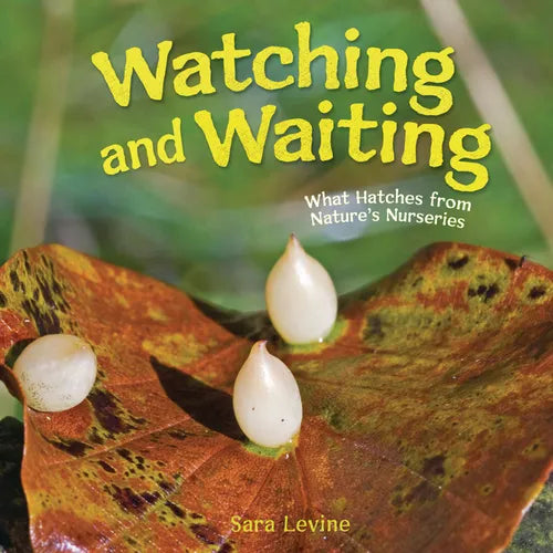 Watching and Waiting: What Hatches from Nature's Nurseries - Library Binding