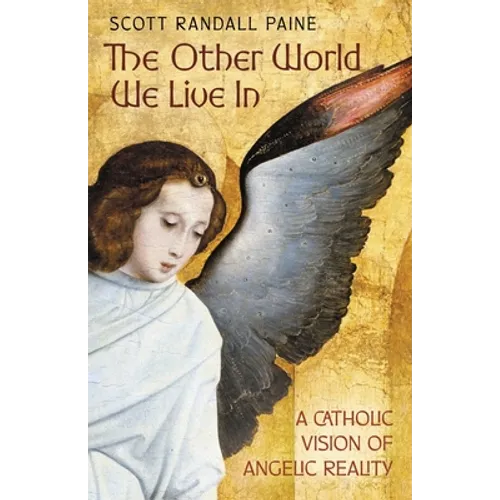The Other World We Live In: A Catholic Vision of Angelic Reality - Paperback