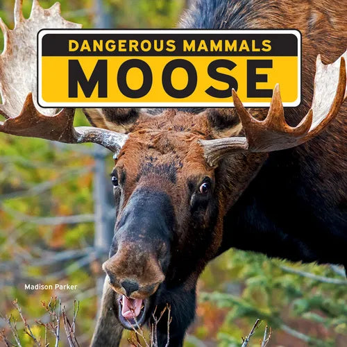 Moose - Library Binding