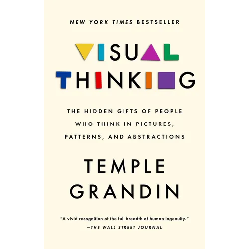 Visual Thinking: The Hidden Gifts of People Who Think in Pictures, Patterns, and Abstractions - Paperback