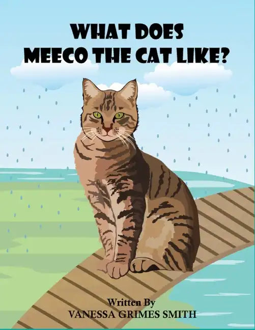 What Does Meeco The Cat Like? - Paperback