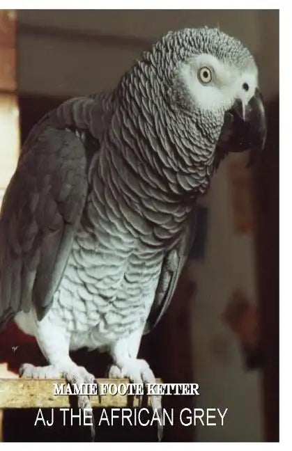AJ The African Grey - Paperback