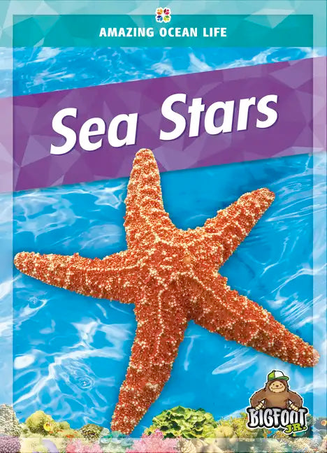 Sea Stars - Hardcover