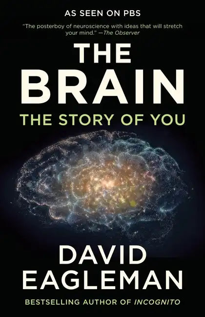 The Brain: The Story of You - Paperback
