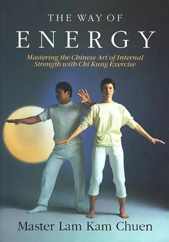 The Way of Energy: A Gaia Original - Paperback