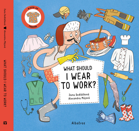 What Should I Wear to Work? - Hardcover