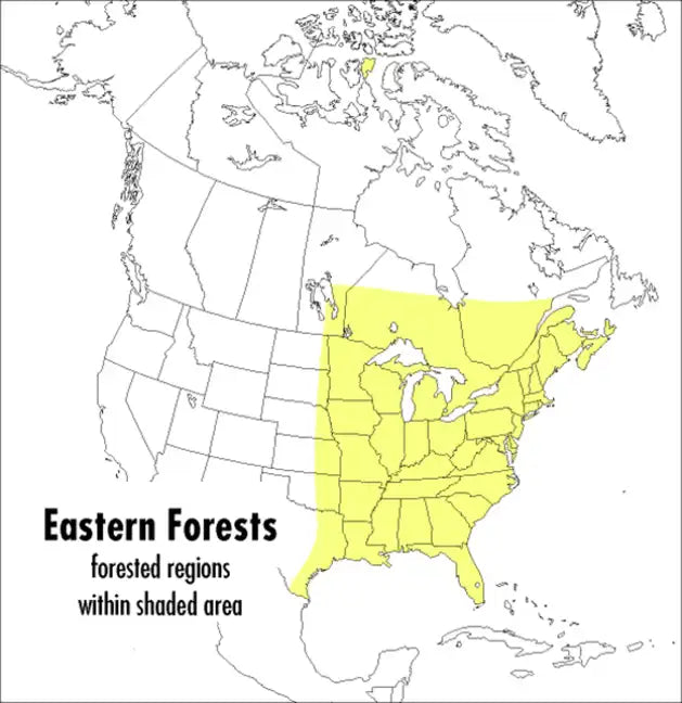 A Peterson Field Guide to Eastern Forests: North America - Paperback