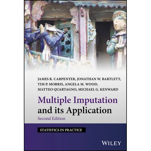 Multiple Imputation and Its Application - Hardcover