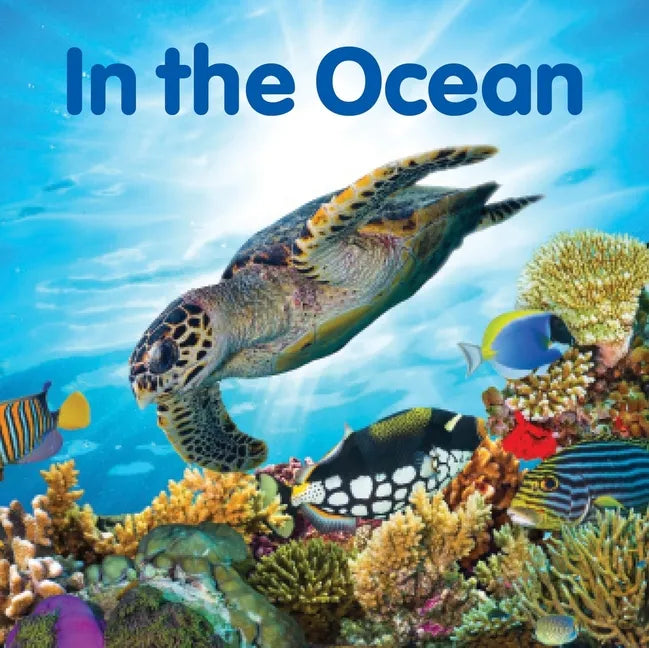 In the Ocean - Board Book