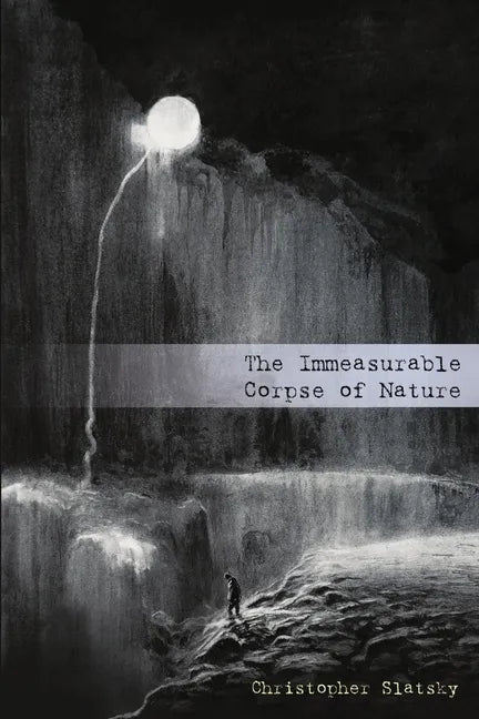 The Immeasurable Corpse of Nature - Paperback