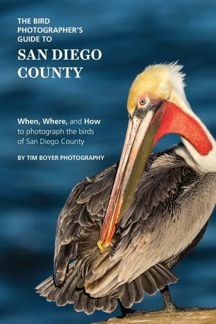 The Bird Photographer's Guide to San Diego County: When, Where, and How to photograph the birds of San Diego County - Paperback