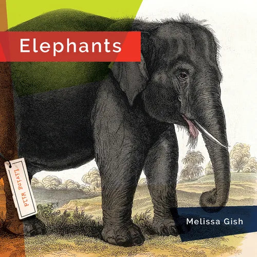 Elephants - Library Binding