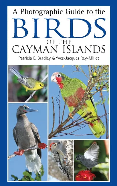 A Photographic Guide to the Birds of the Cayman Islands - Paperback