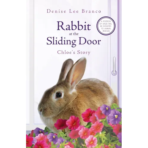 Rabbit at the Sliding Door: Chloe's Story - Paperback