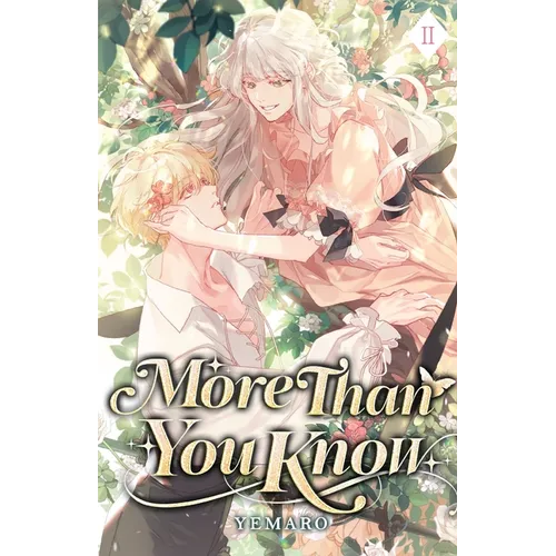 More Than You Know: Volume II (Light Novel) - Paperback