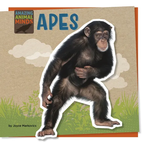 Apes - Paperback