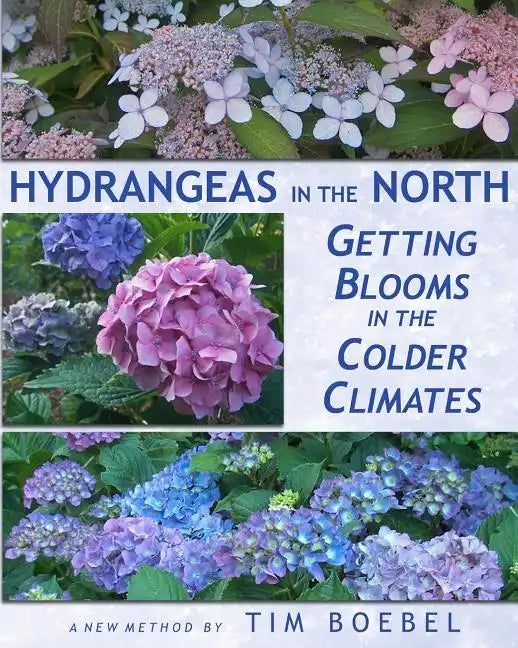 Hydrangeas in the North: Getting Blooms in the Colder Climates - Paperback