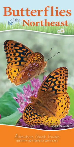 Butterflies of the Northeast: Identify Butterflies with Ease - Spiral