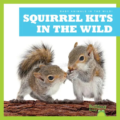 Squirrel Kits in the Wild - Paperback