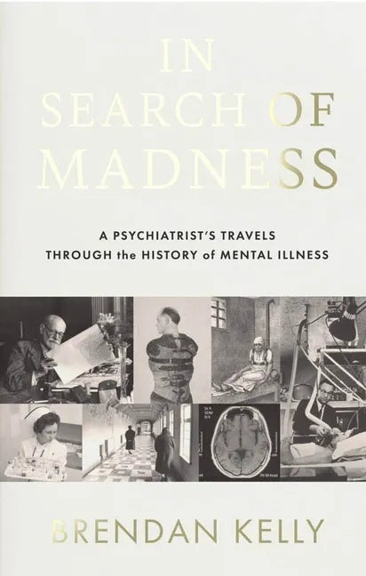 In Search of Madness: A Psychiatrist's Travels Through the History of Mental Illness - Paperback