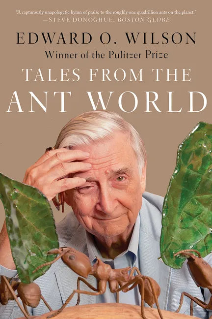 Tales from the Ant World - Paperback