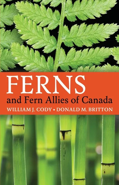 Ferns and Fern Allies of Canada - Paperback