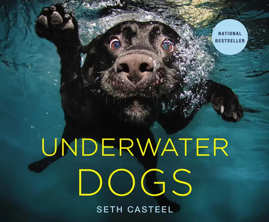 Underwater Dogs - Hardcover