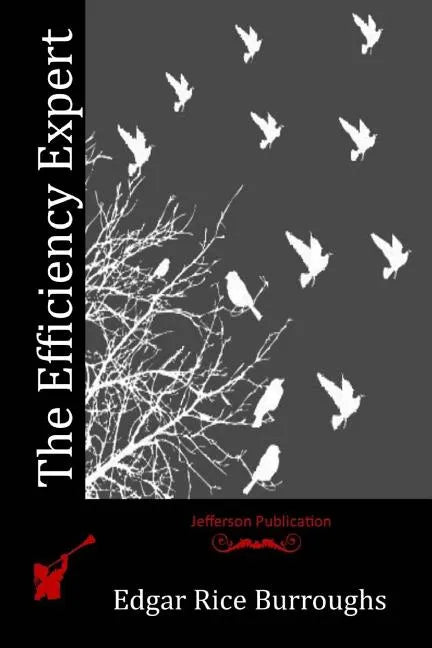 The Efficiency Expert - Paperback