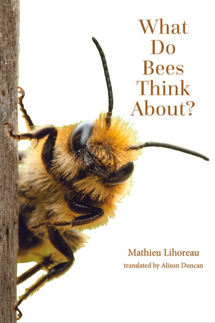 What Do Bees Think About? - Paperback