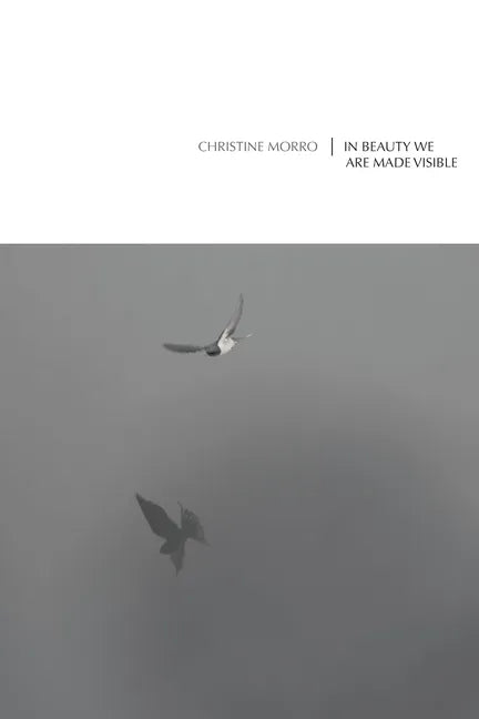 In Beauty We Are Made Visible - Paperback