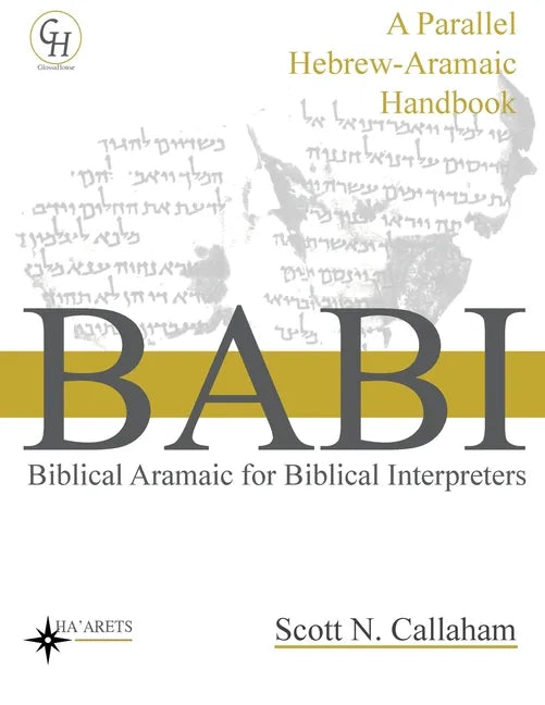 Biblical Aramaic for Biblical Interpreters: A Parallel Hebrew-Aramaic Handbook - Paperback