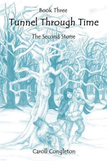 Tunnel Through Time: The Second Stone - Paperback