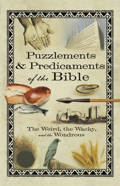 Puzzlements & Predicaments of the Bible: The Weird, the Wacky, and the Wondrous - Paperback