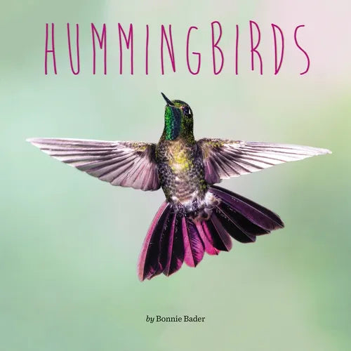 Hummingbirds - Paperback
