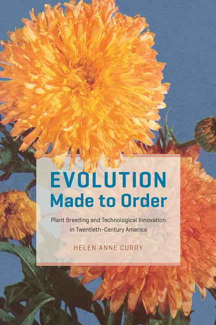 Evolution Made to Order: Plant Breeding and Technological Innovation in Twentieth-Century America - Paperback
