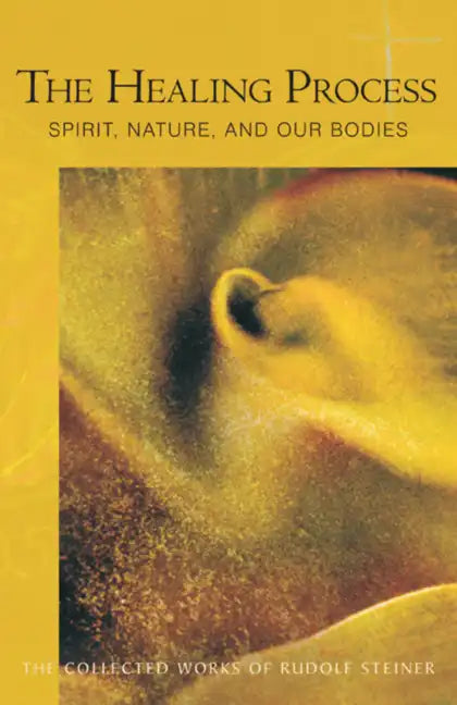 The Healing Process: Spirit, Nature & Our Bodies (Cw 319) - Paperback